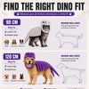 Dinosaur Skeleton Pet Costume