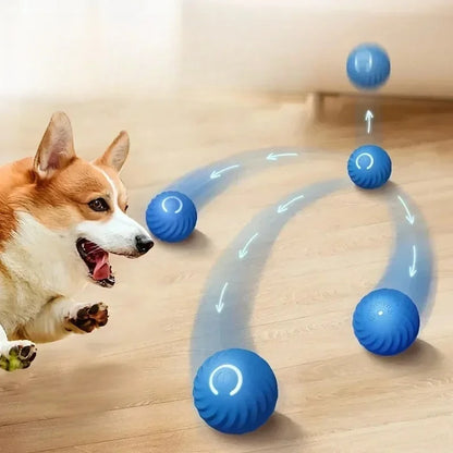 Smart Interactive Rolling Ball Toy for Dogs | Automatic Motion & Bounce