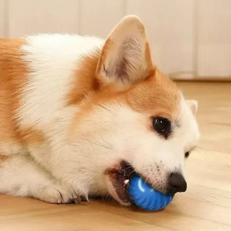 Smart Interactive Rolling Ball Toy for Dogs | Automatic Motion & Bounce
